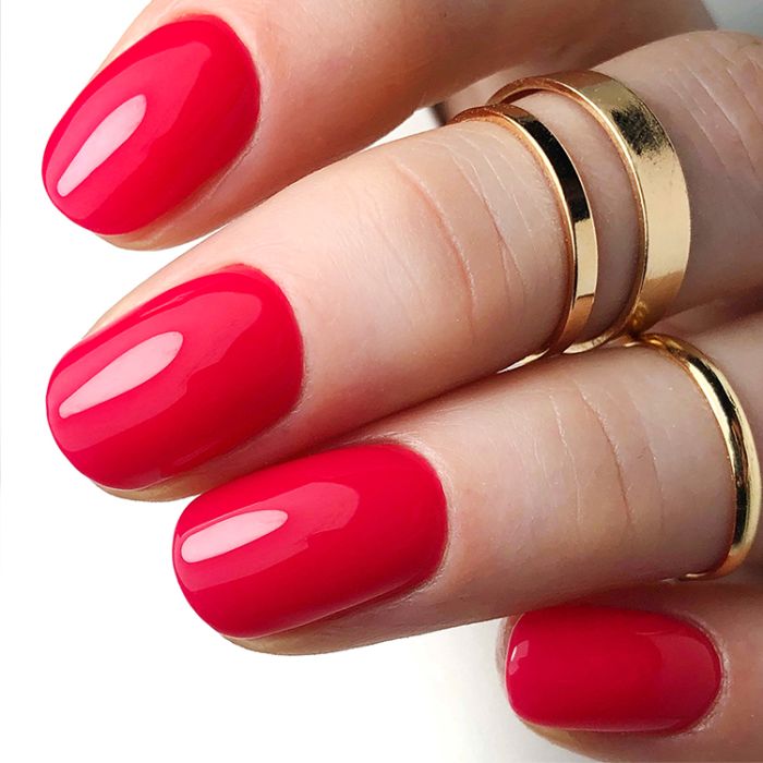 204 Swallow gel polish 10g