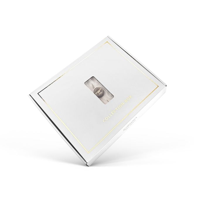 Neglekunstboks - PIGMENT PASTAGEL