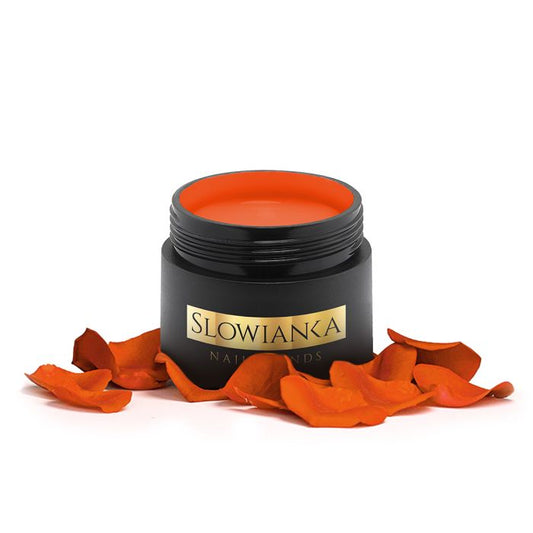 Arter Orange Paint 5g