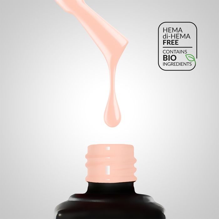 Collection Box Sugar Garden