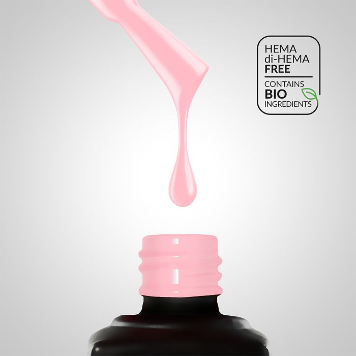 Collection Box Sugar Garden