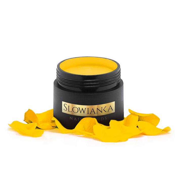 Arter Yellow Paint 5g