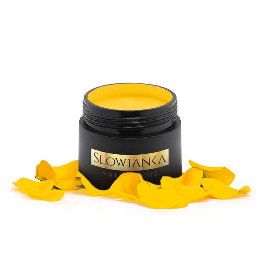 Arter Yellow Paint 5g